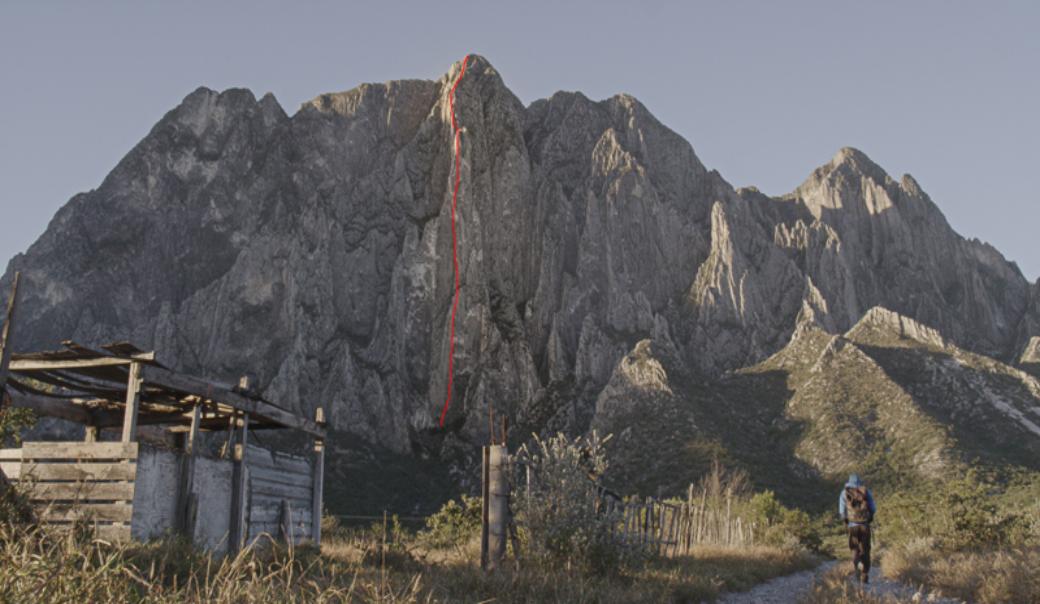 news_alex_honnold_video.003